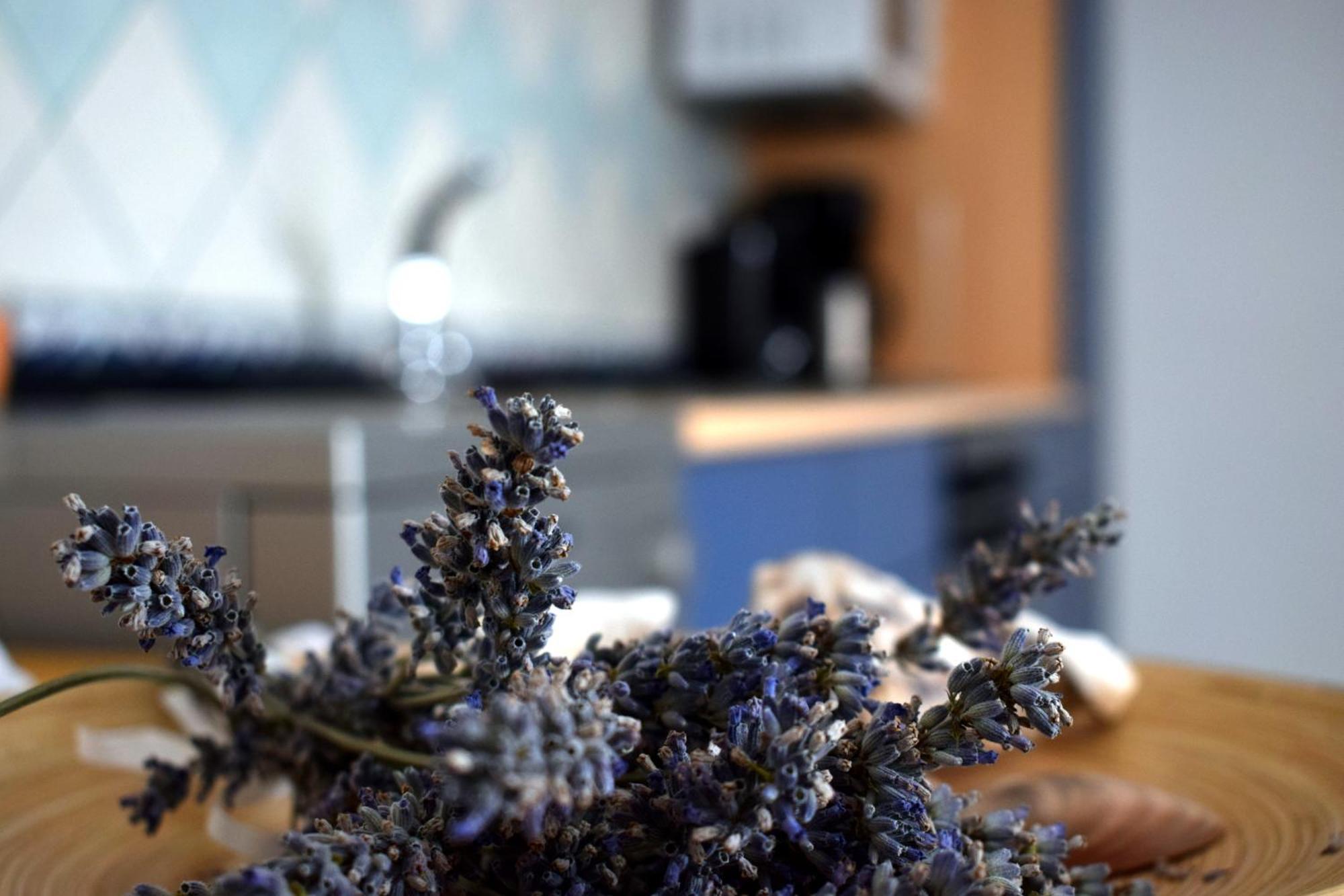 Apartmán J&D Dobropoljana Exteriér fotografie