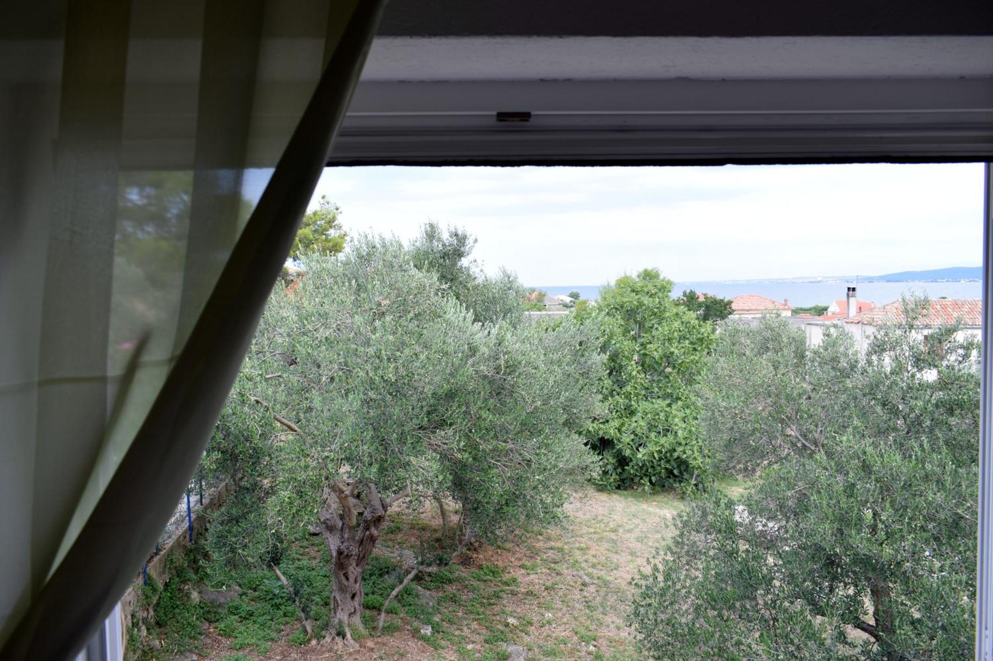 Apartmán J&D Dobropoljana Exteriér fotografie